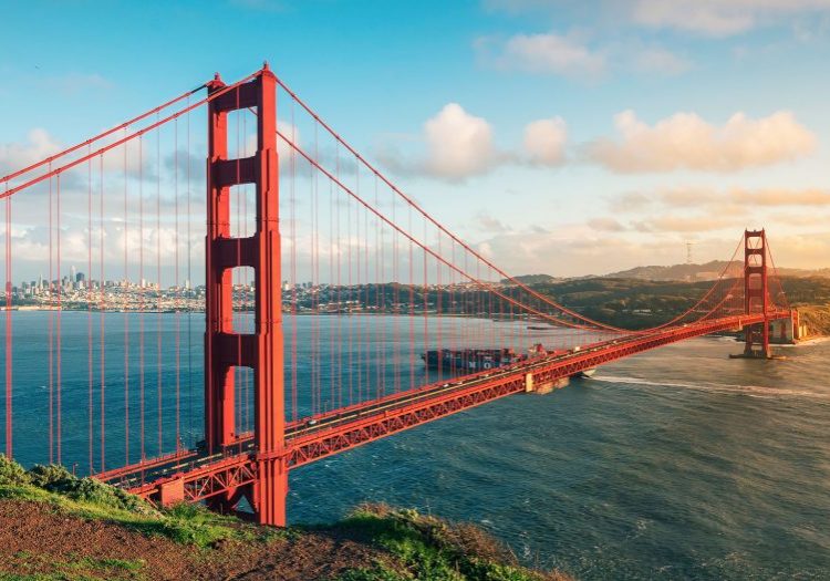 iStock-1137980721 iStock-1137980721